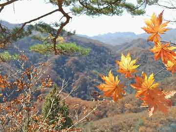 国道350线汶川县耿达镇大石包处发生泥石流，致交通中断